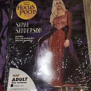 Hocus Pocus Adult Costume